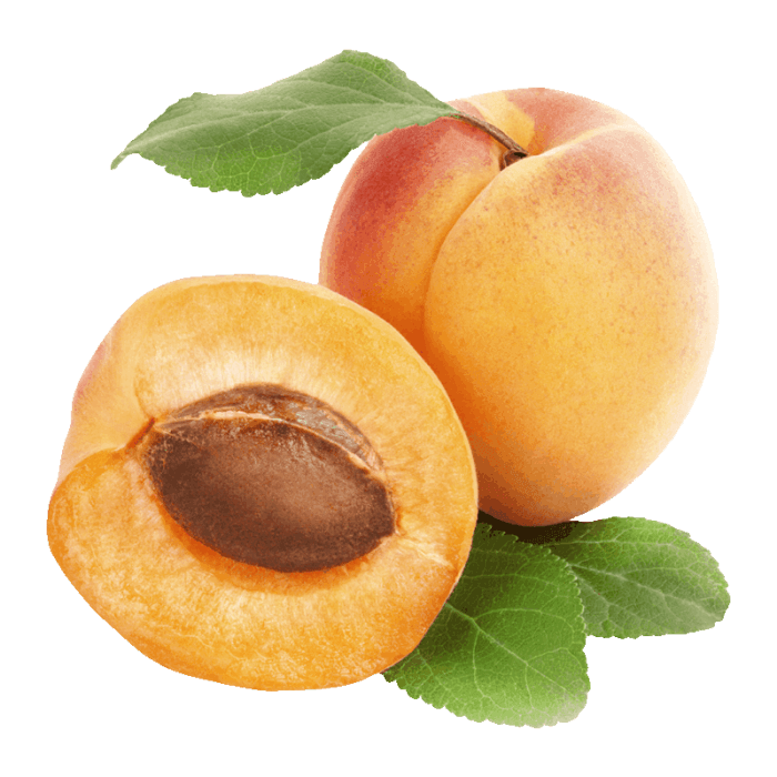 Apricot