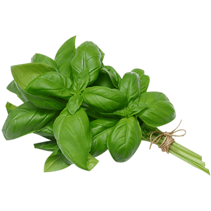 Basil Leaves