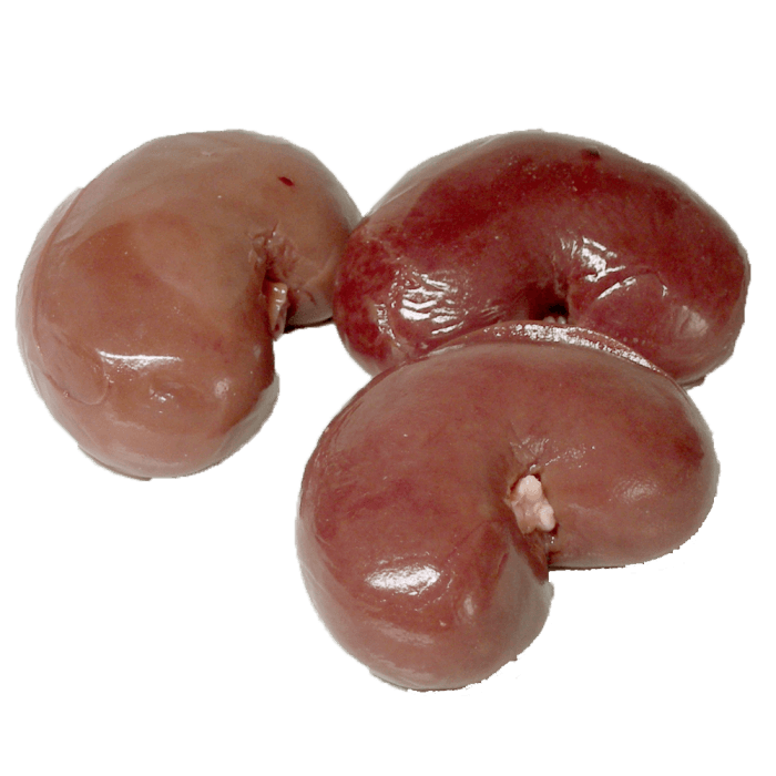 Beef Kidney