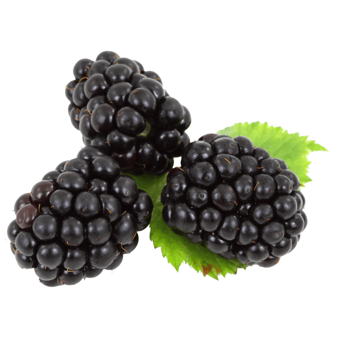 Blackberries