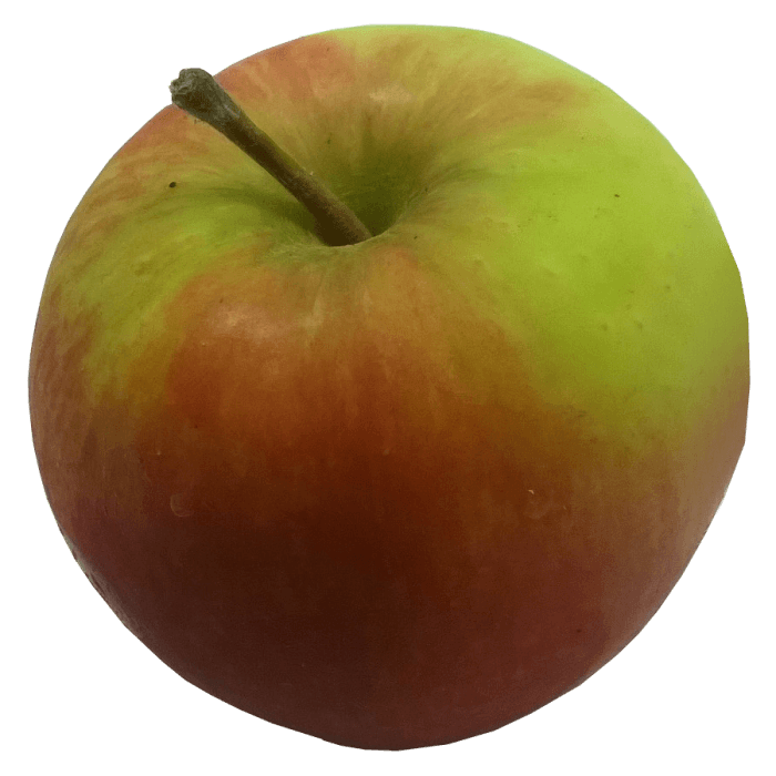 Bramley Apples