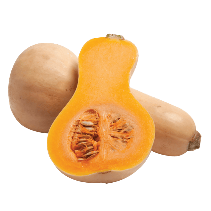 Butternut Squash