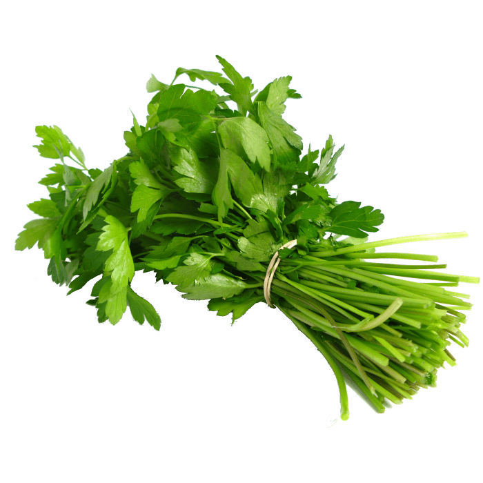 Coriander Leaves