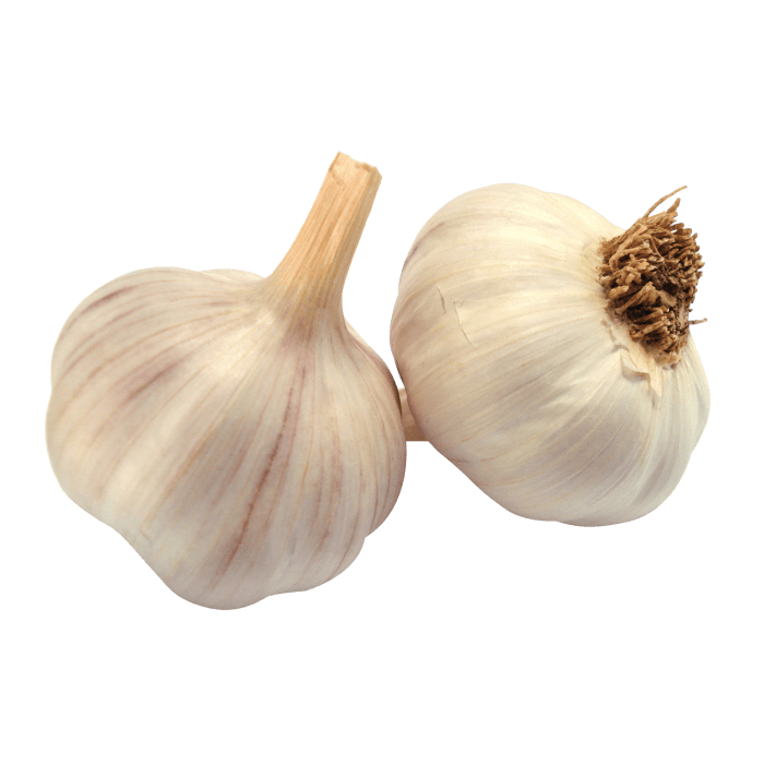 Garlic Clove