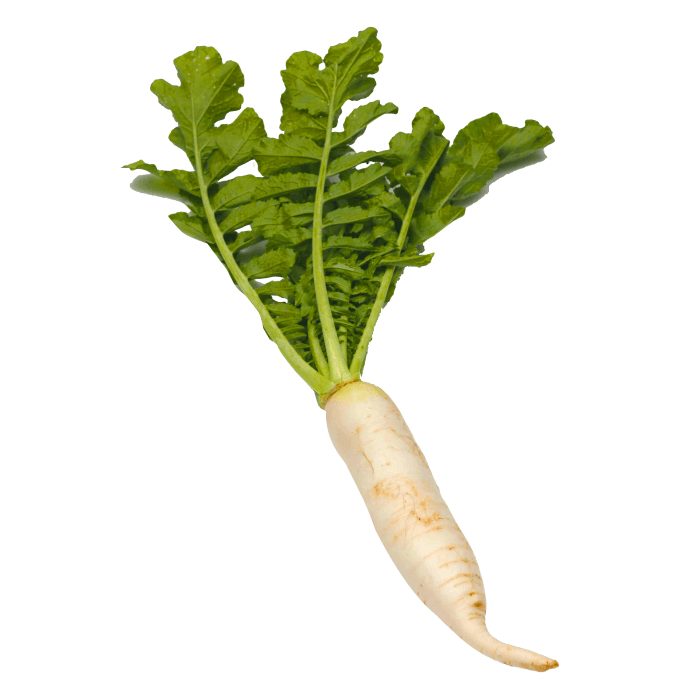 Horseradish