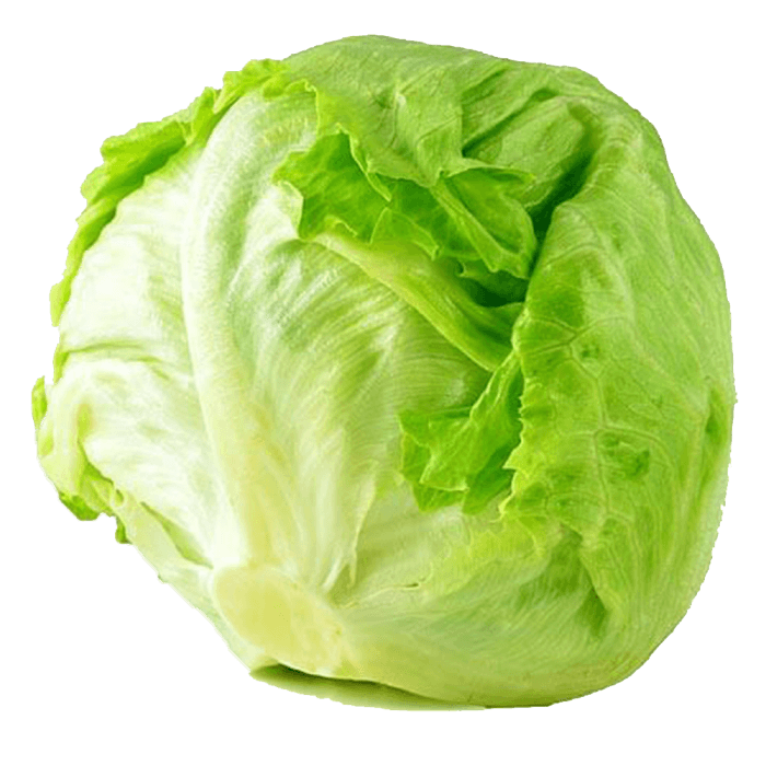 Iceberg Lettuce