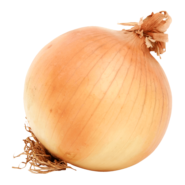 Onion