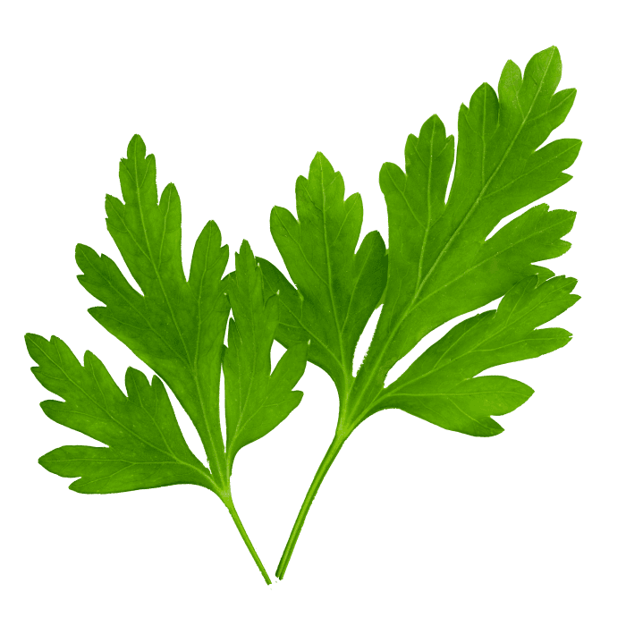 Parsley