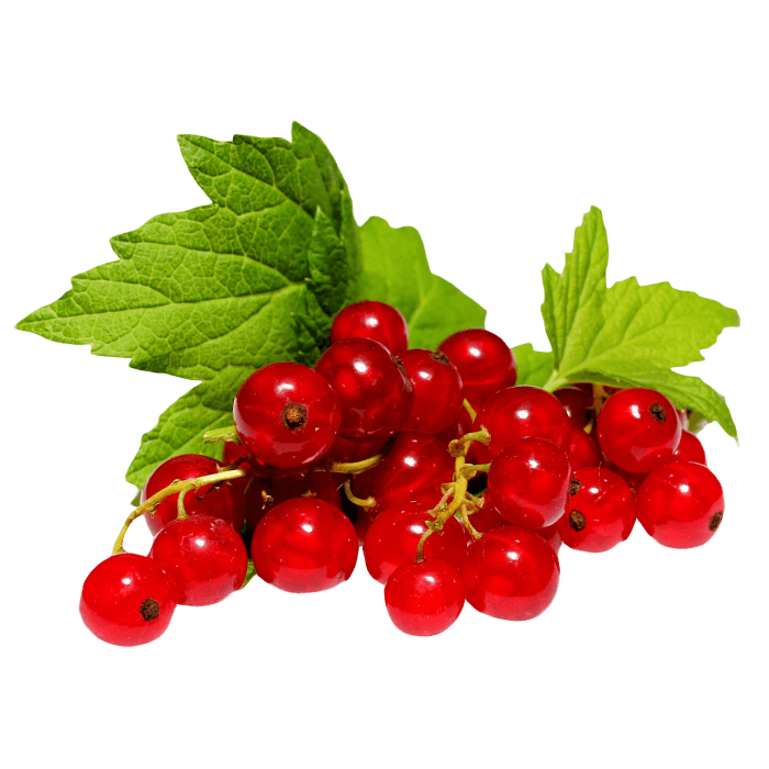 Redcurrants