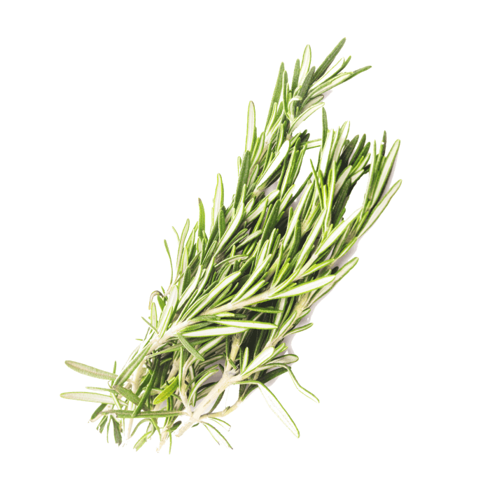 Rosemary