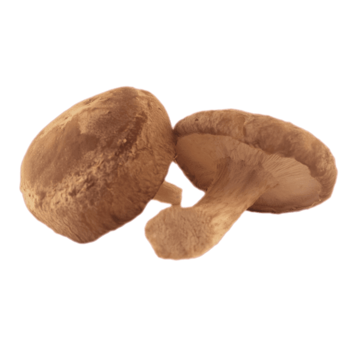 Shiitake Mushrooms