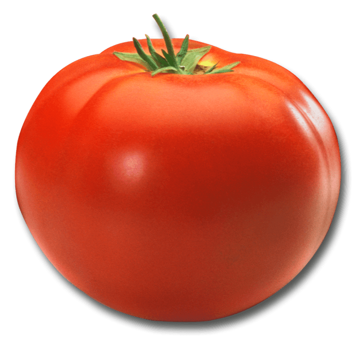 Tomato