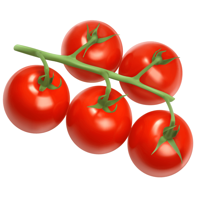 Vine Tomatoes